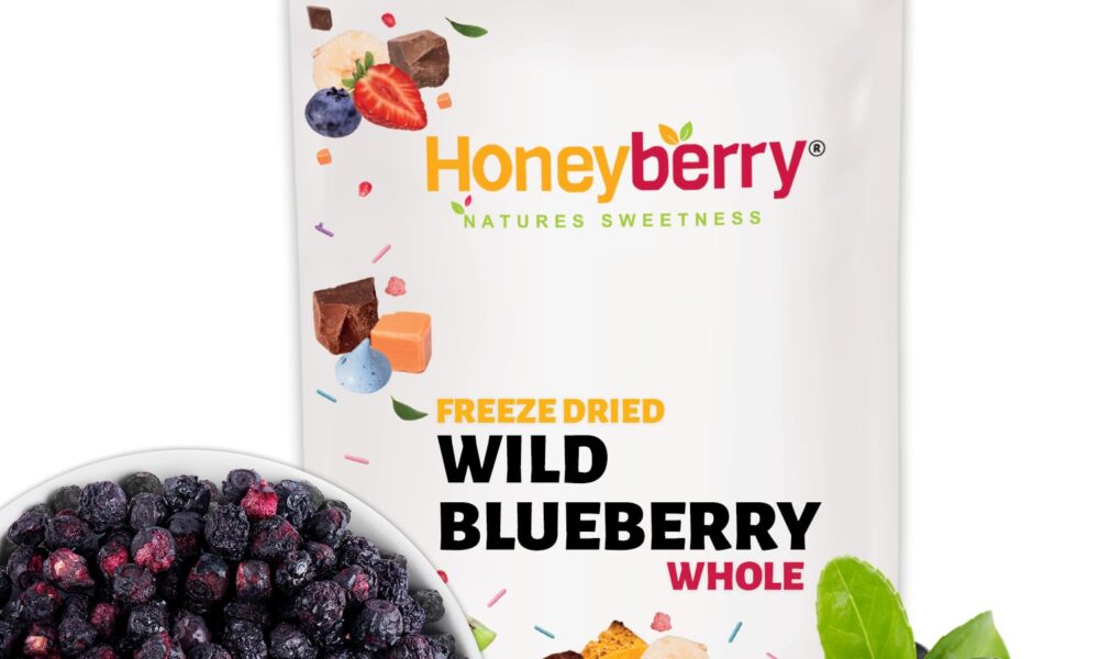 discover-the-magic-of-freeze-dried-wild-blueberry-powder:-nature’s-nutritional-gem